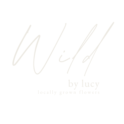 Wild by lucy