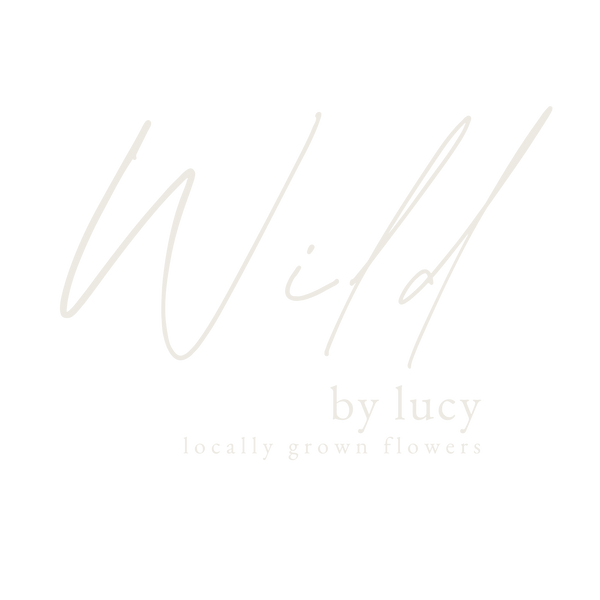 Wild by lucy